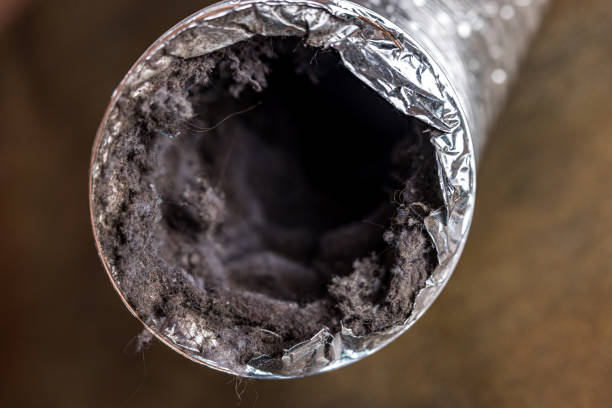 Best Local Air Duct Cleaning Services  in Wellington, OH
