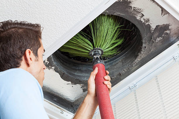 Best Air Vent Cleaning Services  in Wellington, OH